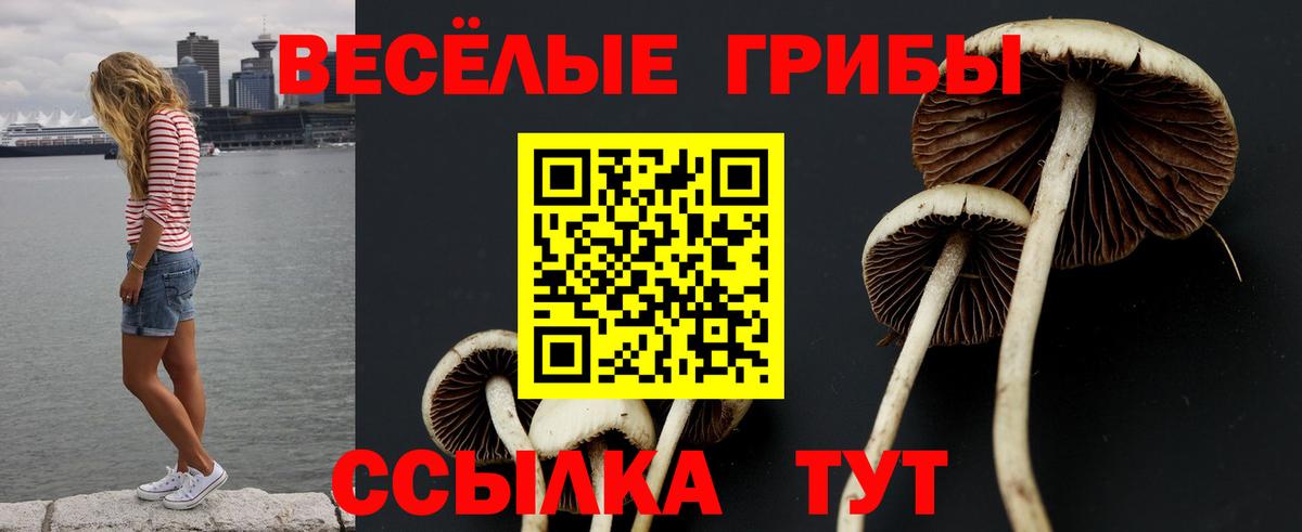 Минеральные Воды  Псилоцибиновые грибы Cubensis  Вход с VPN 